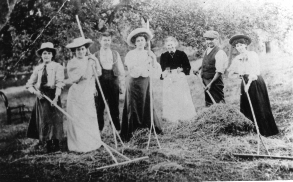 Haymaking