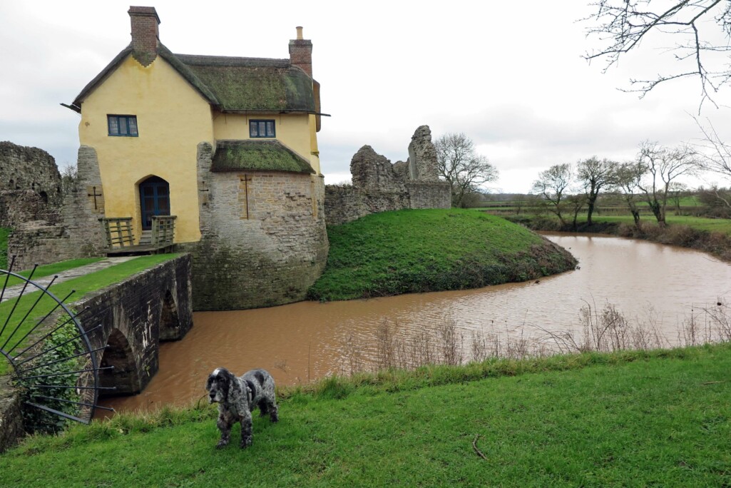 Stogursey Castle